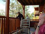 Bridge 10-05 017